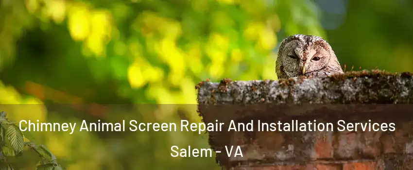  Chimney Animal Screen Repair And Installation Services Salem - VA