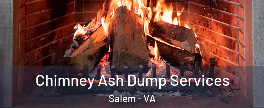  Chimney Ash Dump Services Salem - VA