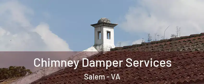  Chimney Damper Services Salem - VA