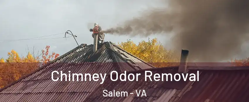  Chimney Odor Removal Salem - VA