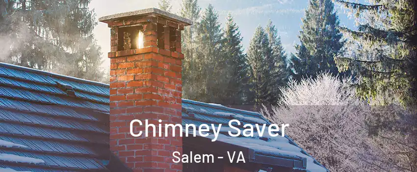  Chimney Saver Salem - VA