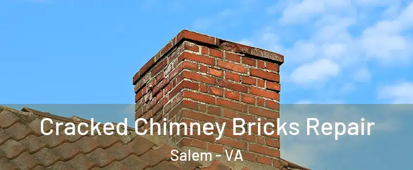  Cracked Chimney Bricks Repair Salem - VA