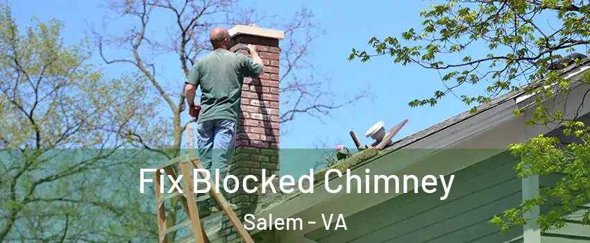  Fix Blocked Chimney Salem - VA