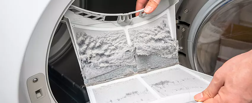 Best Dryer Lint Removal Company in Salem, Virginia