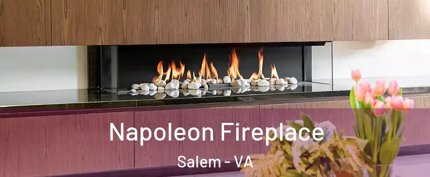  Napoleon Fireplace Salem - VA